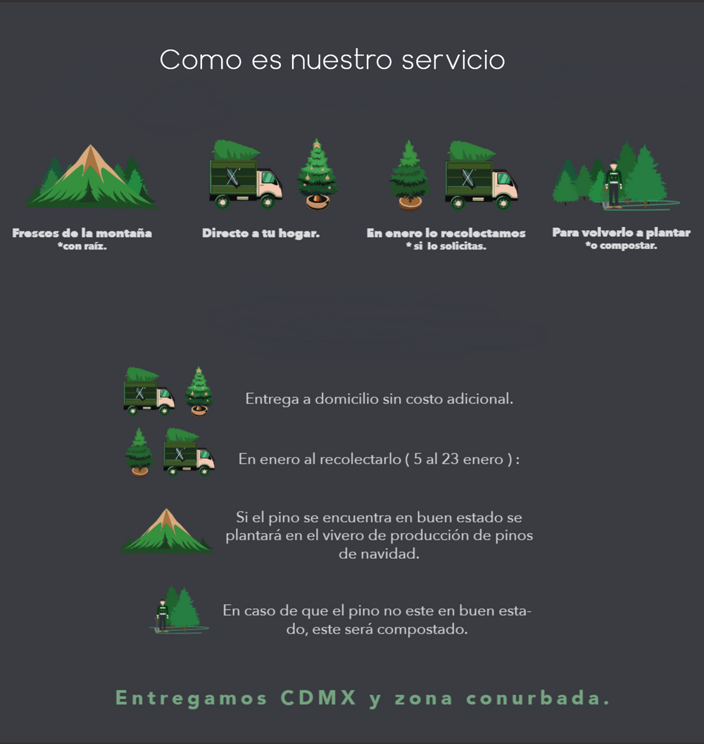 PINO GRANDE TALLA 2 ( 235 CM A 245 CM ) CON ENTREGA Y RECOLECCIÓN