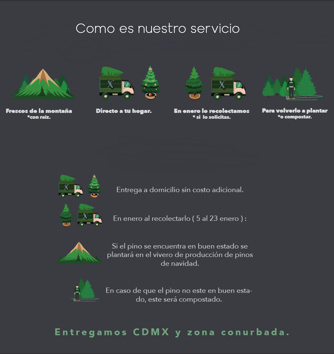 PINO MEDIANO TALLA 1 ( 170 CM A 175 CM ) CON ENTREGA Y RECOLECCIÓN