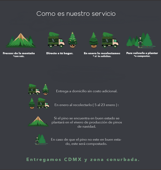 PINO MEDIANO TALLA 1 ( 170 CM A 175 CM ) CON ENTREGA Y RECOLECCIÓN