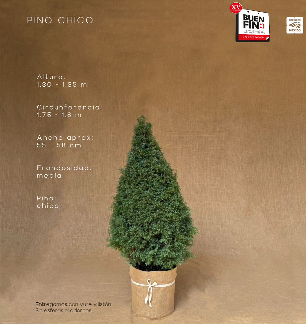 PINO CHICO ( 130 CM A 135 CM ) CON ENTREGA Y RECOLECCIÓN
