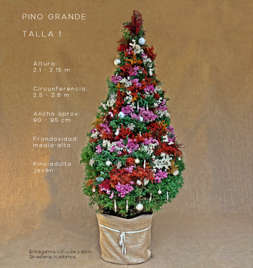 PINO GRANDE TALLA 1 ( 210 CM A 215 CM ) CON ENTREGA Y RECOLECCIÓN