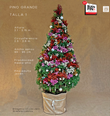 PINO GRANDE TALLA 1 ( 210 CM A 215 CM ) CON ENTREGA Y RECOLECCIÓN