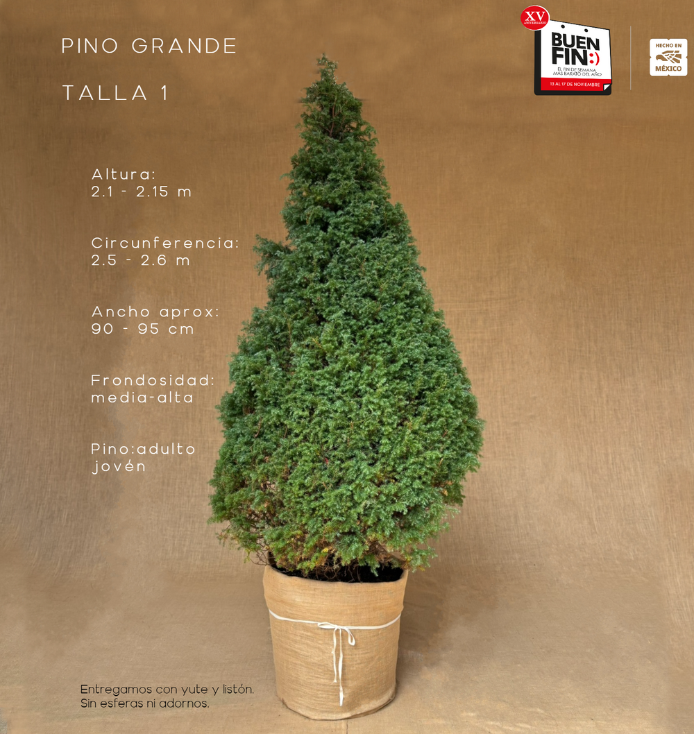 PINO GRANDE TALLA 1 ( 210 CM A 215 CM ) CON ENTREGA Y RECOLECCIÓN