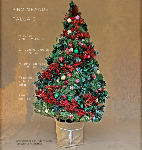 PINO GRANDE TALLA 2 ( 235 CM A 245 CM ) CON ENTREGA Y RECOLECCIÓN