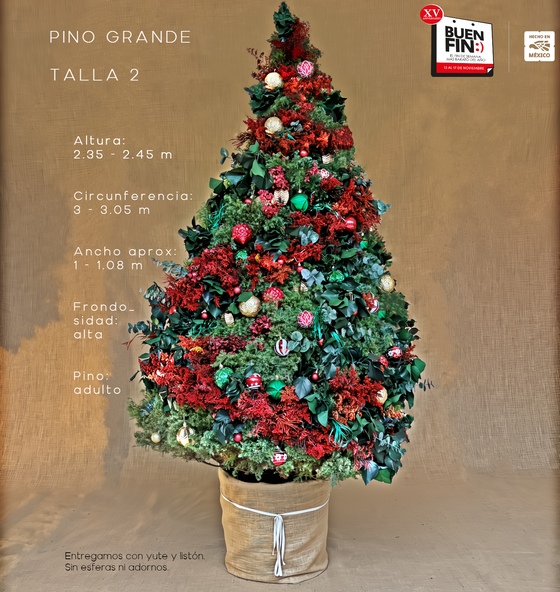 PINO GRANDE TALLA 2 ( 235 CM A 245 CM ) CON ENTREGA Y RECOLECCIÓN