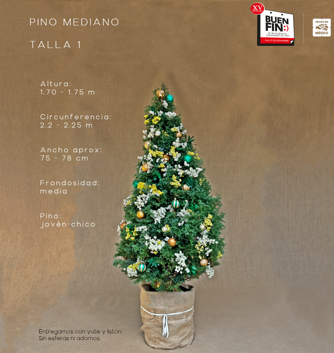 PINO MEDIANO TALLA 1 ( 170 CM A 175 CM ) CON ENTREGA, SIN RECOLECCIÓN