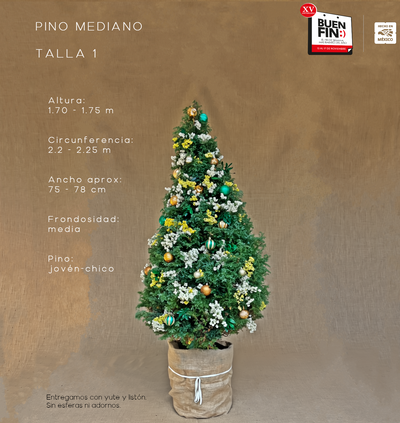 PINO MEDIANO TALLA 1 ( 170 CM A 175 CM ) CON ENTREGA Y RECOLECCIÓN