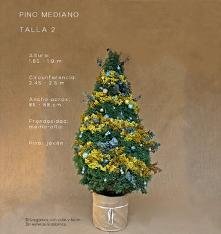 PINO MEDIANO TALLA 2 ( 185 CM A 190 CM ) CON ENTREGA Y RECOLECCIÓN