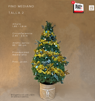 PINO MEDIANO TALLA 2 ( 185 CM A 190 CM ) CON ENTREGA Y RECOLECCIÓN